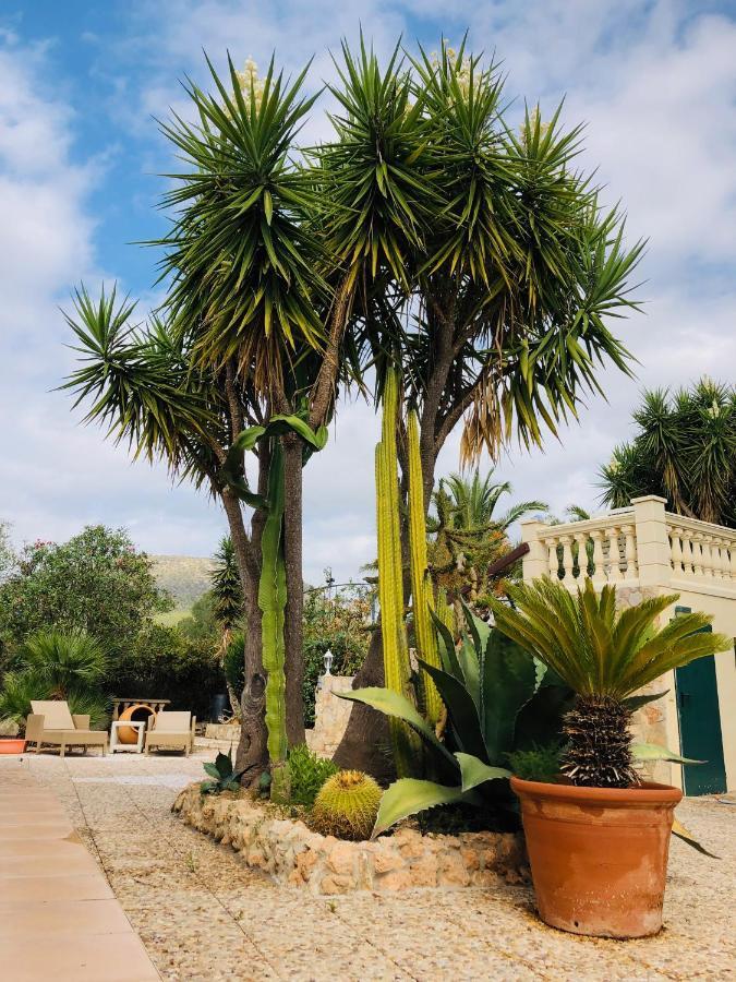 לןקמאג'ור Finca Randa, Llucmayor, Bis 3 Sz, Pool, Garten מראה חיצוני תמונה